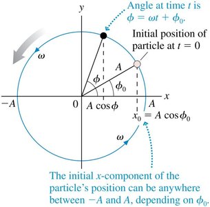 Phase constant in SHM and circular motion