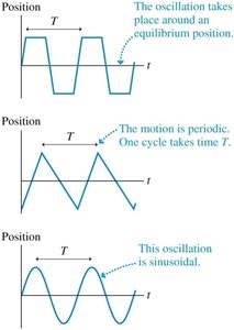 Examples of periodic motion graphs