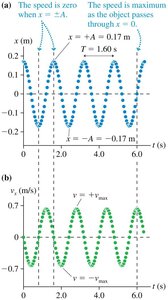 Position and velocity graphs for SHM