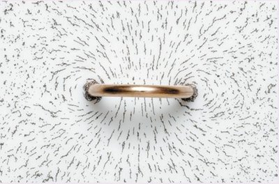 Iron filings showing the field of a current loop