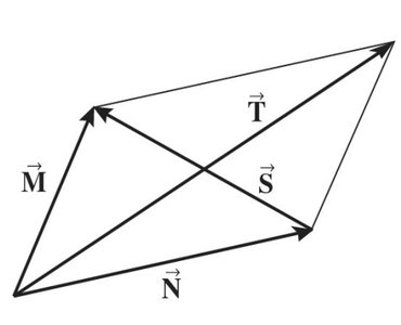 Vector diagram with M, N, S, T