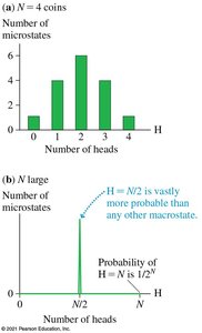 Histogram of microstates for coin tosses