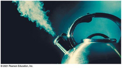 Boiling water increases entropy