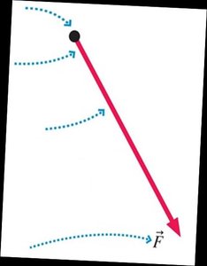 Drawing force vectors on a particle