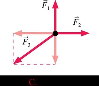 Three forces combining to produce a net force
