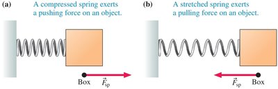 Spring force: compressed and stretched spring