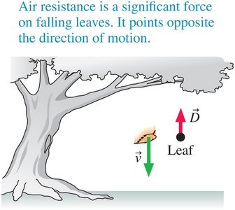 Air resistance (drag) on a falling leaf
