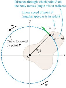 Linear speed of a point on a rotating body