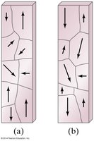 Ferromagnetic domains before and after alignment