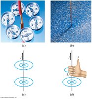 Compasses and field lines around a current-carrying wire