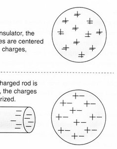 Polarized atom