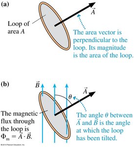 Area vector and magnetic flux through a loop