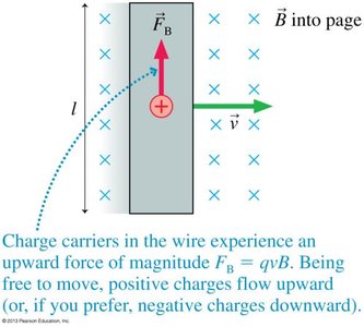Charge carriers in a moving wire experience a magnetic force
