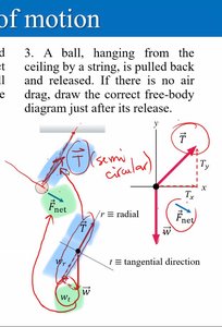 Ball hanging from string, free-body diagram