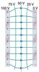 Equipotential lines between parallel plates with voltage
