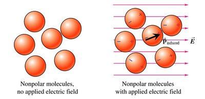 Nonpolar molecules in dielectric