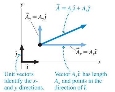 Physics with Calculus Study Guide: Vectors & Components | Notes