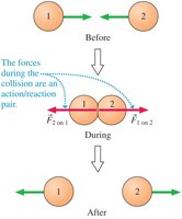 Collision showing action-reaction pair