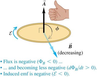 Coil with multiple turns in a generator