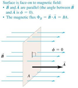 Surface face-on to magnetic field: maximum flux