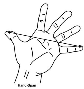 Hand-span illustration