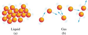 Arrangement of particles in liquids and gases