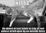 Inertia illustrated with a cat at rest