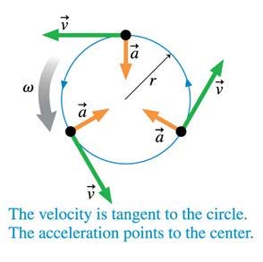 Velocity and acceleration vectors in uniform circular motion (alternate)