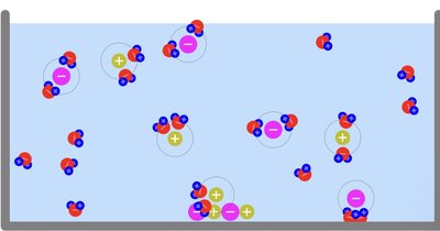 Ions dissociated and surrounded by water molecules in solution