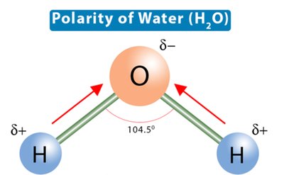 Polarity of water molecule (H2O)