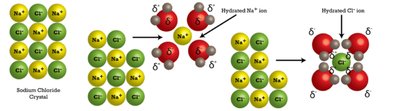 Solvation process of NaCl in water, showing hydration shells
