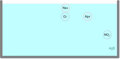 Ions in solution before reaction