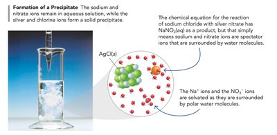 Formation of a precipitate and explanation