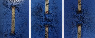 Iron filings showing magnetic field lines around a bar magnet