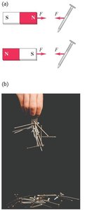 Magnet attracting iron nails