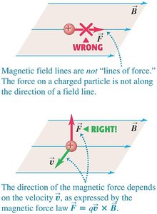 Correct and incorrect directions for magnetic force on a moving charge