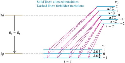 Zeeman effect: allowed and forbidden transitions