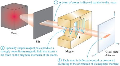 Stern-Gerlach experiment setup