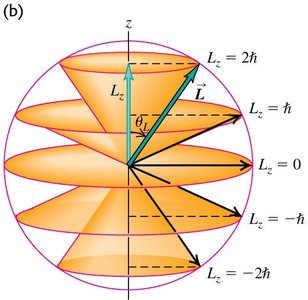 Quantized angular momentum components