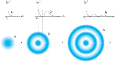 Probability distribution cross-sections for hydrogen atom