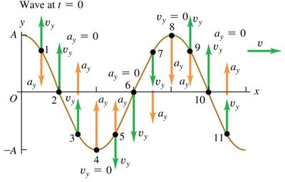 Particle velocity and acceleration in a wave