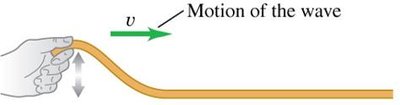 Transverse wave on a string