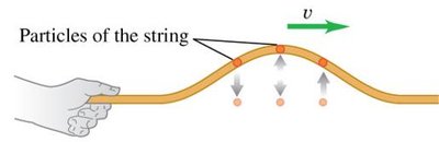 Particles of the string in transverse wave