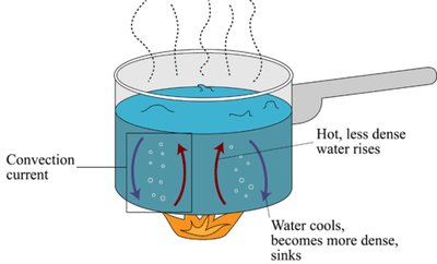 Convection current in boiling water