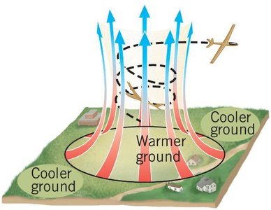 Convection updrafts above warm ground