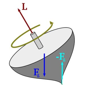 Precession of a spinning top