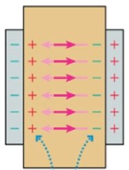 Polarization of dielectric in a capacitor