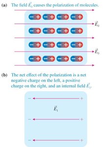 Polarization and induced field in a dielectric