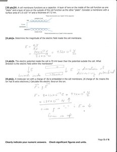 Diagram of cell membrane as a capacitor