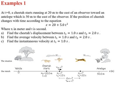Cheetah and antelope example